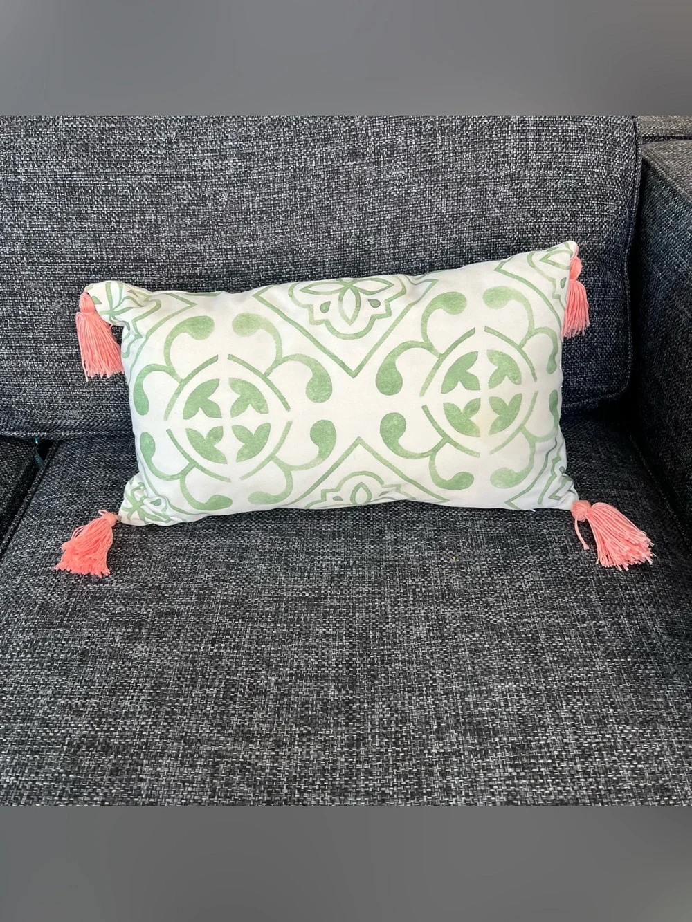 Outdoor Tassle Throw Pillow